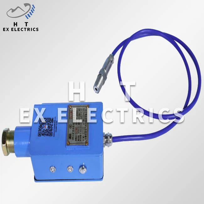 Intrinsically Safe Temperature Sensor